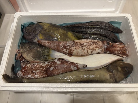 竹コース【知床らうす直送】船頭にお任せ！鮮魚ボックス（詰め合わせ) 海鮮セット