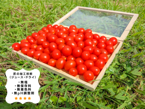 樹上完熟有機ミニトマト100％(無垢のトマト)プレミアム高糖度トマトジュース 1リットル １本（完全無添加）