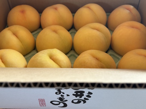 ぜひおためし下さい‼️山形県産黄金桃【3キロ大玉10個入】：山形県産の