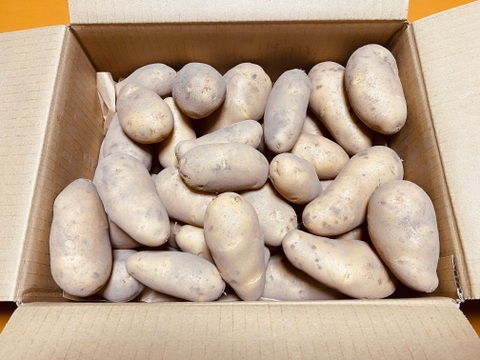 【豊作特価】希少な自然栽培のジャガイモ【メークイン】5kg（箱重量込）