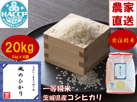 【令和7年産】毎日5合なら約26日分！茨城県産コシヒカリ　風のひかり20kg（5kg×4袋）