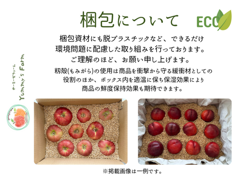 もぎたて 即日発送 りんご サンふじ 訳あり 家庭用 5kg 長野県産 信州りんご発祥の地 産地直送 除草剤不使用 人にやさしく環境にもやさしい