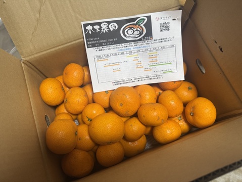 【訳あり】木下さんちのみかん10キロ(5キロ×2箱)