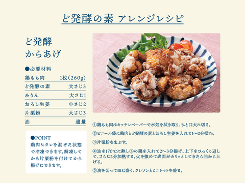 三生酵素を生きたまま！ど発酵の素　100g