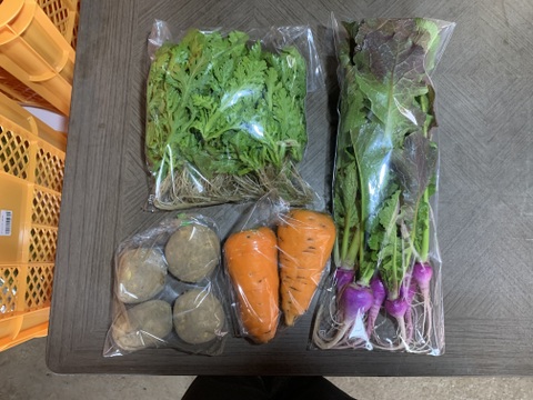 【自然栽培】4品目お試し旬のお野菜セット