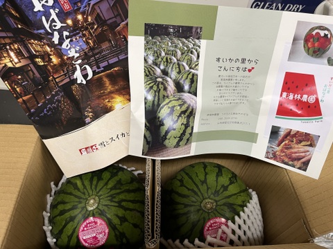 【夏ギフト】2024年　予約品　
種も食べられちゃうすいか🍉
ピノ・ガール　秀品２個入り１箱