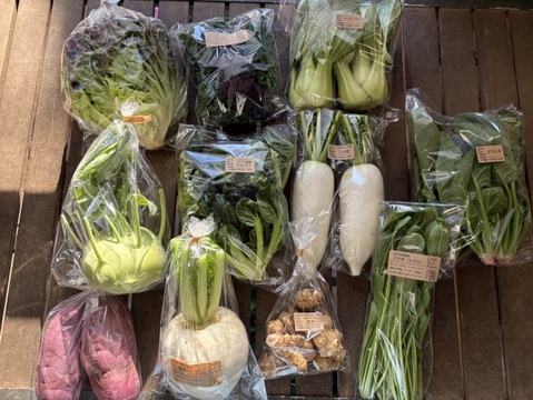 【贈り物にも！】彩り豊かな野菜の秋冬野菜10種類前後/めずらしい野菜も入ってるかも？【農薬・化学肥料不使用】