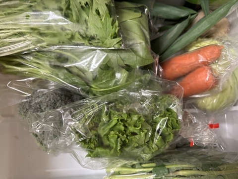 旬の野菜セット小1人〜2人用