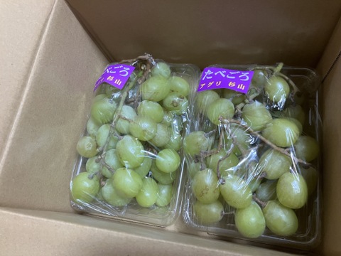 農薬不使用！甘いぶどう「シャインマスカット」1kg