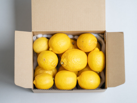 【奇跡のレモン】皮丸ごと使える国産 宝韶寿レモン／2kg ※訳あり含む