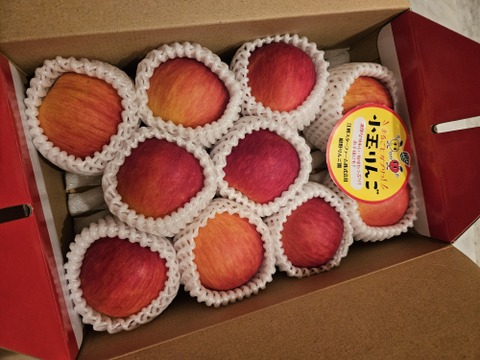 まるごとガブリっ！奥州ロマン☆小玉・食べきりサイズりんご【岩手江刺産】2㎏