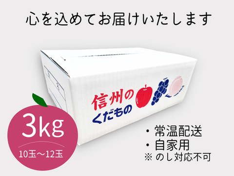 【初物】長野県 信州安曇野産 夏りんご サンつがる 3kg(10～12玉) 自家用 訳あり品 "シャキッとジューシー" ジュースやスムージーにも最適