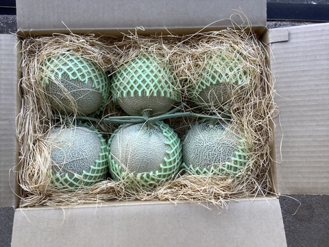 【ご家庭用】【お買い得】【８㎏以上】アールスメロン　１．３～１．５ｋｇ　×　６個セット　（富山県氷見市産）