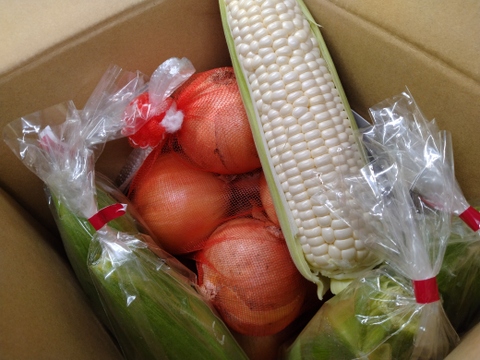 ★★初夏の甘うまセット★★（淡路島玉ねぎ2.5kg+ホワイトコーン5本）とうもろこし　トウモロコシ