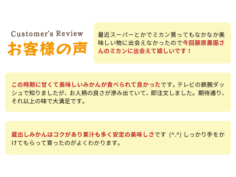 蔵出しみかん晩生10kg｜日本農業遺産認定の和歌山県海南市下津町の特産品