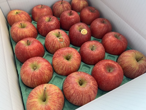 【家庭用】サンふじ 小玉   約5kg(20~23個)