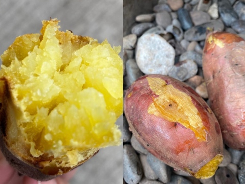 【年末大特価】紅はるか(ML)と安納芋（２Ｓ~Ｓ）２０kgセット！栽培期間中農薬不使用の「さつまいも」