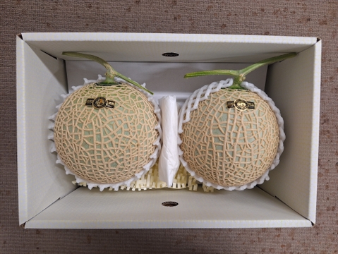【限定10箱！】【小さめ2玉で2.4kg】「訳あり」2玉箱入り高糖度マスクメロン