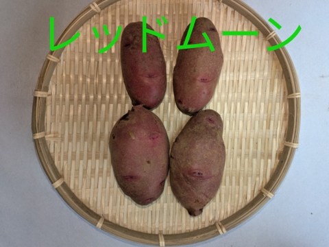 新じゃがいも【食べ比べセット】6種類★キタアカリ2.0kg★アンデスレッド500g★ノーザンルビー500g★シャドークイーン500g★デストロイヤー500g✭
レッドムーン500g
合計約４.5kg