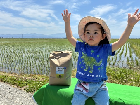 予約開始！！　令和8年新米　もちもち食感冷えても美味しい！庄内米つや姫精米１０キロ