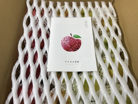 【福箱】青森県産りんご 家庭用 きずあり MIX 約5kg 【限定商品】