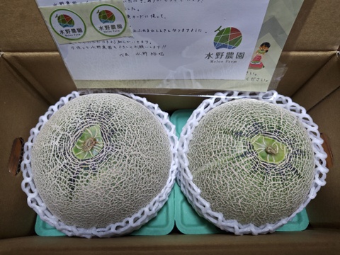 【限定生産】とろける甘さ！渥美半島産くるめメロン(２玉)