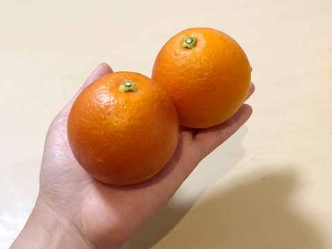 ブラッドオレンジ タロッコ 2kg : 赤色の果汁が特徴のオレンジ