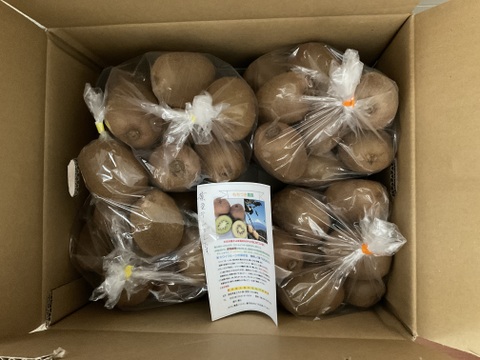 でっかいキウイふる～つ　Ｌサイズ家庭用４K【品種ヘイワード】