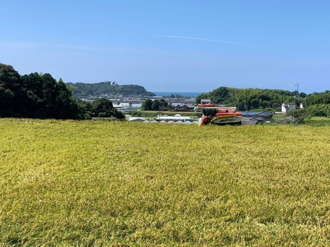 【令和7年度産　山の水で育った】　高知県香南市産コシヒカリ　精米5Kg×1袋