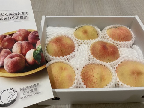 7月末～８月上旬発送【糖度13度以上保証桃】【家庭用】当園１番人気の感動完熟桃 約1.5kg7-9玉