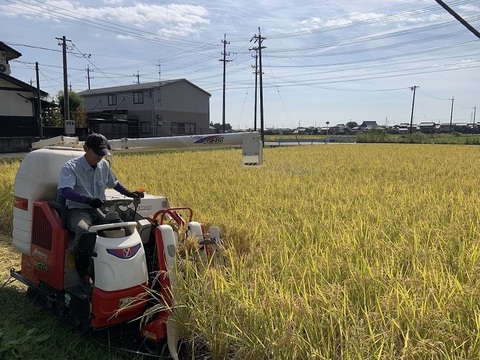 【農薬・肥料不使用】優秀金賞受賞！自然栽培米ハツシモ【10kg】【玄米】【令和6年産】