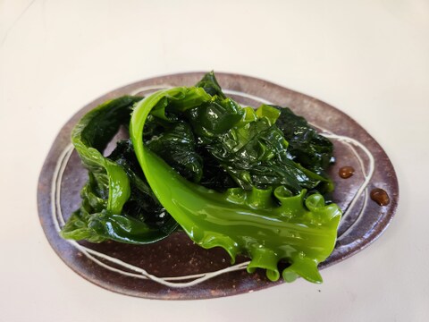 栄養満点　新鮮朝採れ生わかめ【今期一番出荷】２ｋｇ