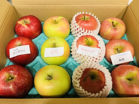 🎊発送中🎊【限定100】リンゴ食べ比べ🍎3キロ箱 6玉〜15玉サイズ 商品ID48414 長野県 信州 安曇野 リンゴ 幻 幻のリンゴ 予約 希少 旬 食べ比べ 詰め合わせ 贈答 家庭用