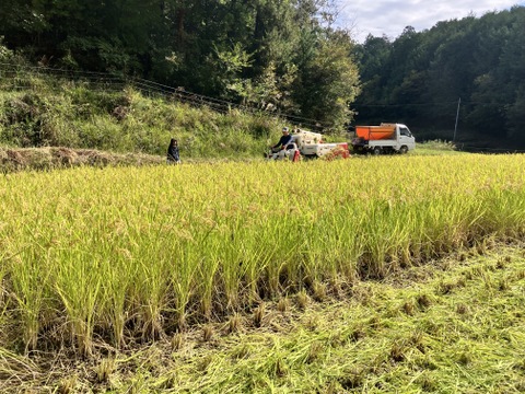 農薬不使用 玄米 希少な朝日米 R7年産 2kg×3袋 化学肥料不使用 里山の