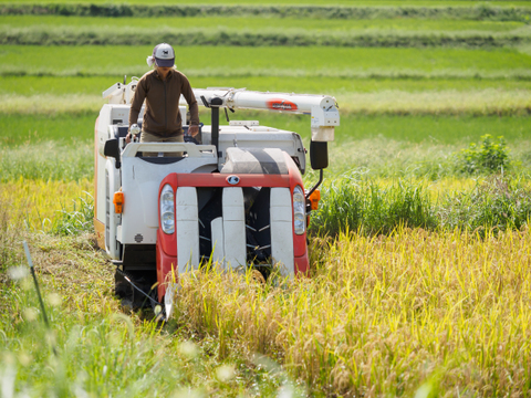 【有機JAS】令和7年新米 山の水で育てた棚田のお米【いのちの壱】農薬・化学肥料不使用 2.5kg