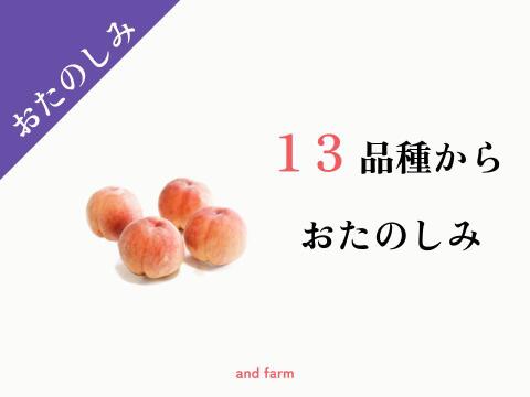 【13品種から何が届くかお楽しみ！】 旬の桃をベストな時期にお届け！約4kg 約10~14玉