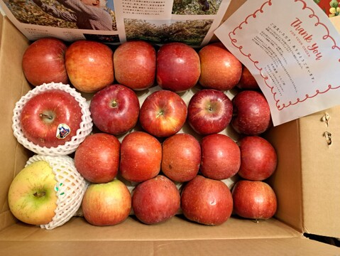 お待たせしました！🍎すっぱい紅玉🍎おうちりんご🍎酸味が美味しいりんご！！家庭用３キロ