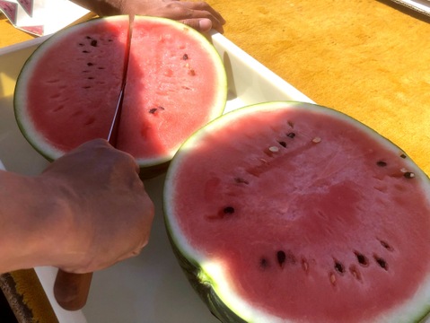 くまもと植木産🍉春スイカ(肥後漫遊)4月10日〜発送 | 1玉入り6〜8kg ギフト贈答用