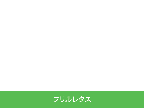 【化学肥料不使用】つなぐファームセット【8種類の野菜】　1箱14袋（レタス5種類×2袋、サンチュ2袋、小松菜6本入り1袋、ルッコラ6本入り1袋）（レタス、サンチュ1袋70～90ｇ程度）