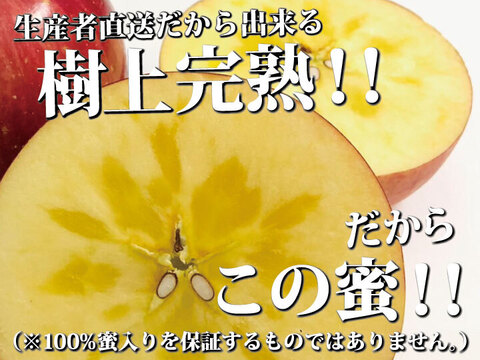 【毎年１万箱以上売れてます】約１０キロ 青森県産りんご「樹上完熟葉とらずふじ」家庭用厳選品