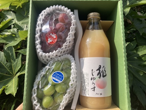 【5箱限定】ジュースとぶどうの人気シリーズ♪ 丸ごと桃搾り&赤緑ぶどう食べ比べ（クイーンニーナとシャインマスカット）