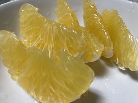 紀の川八朔　優品L〜２L寸↑ 5kg箱込み　ハズレなし！！