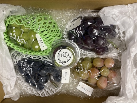 【福袋2025】豪華！ぶどう4品種＋粒カップアソート入り