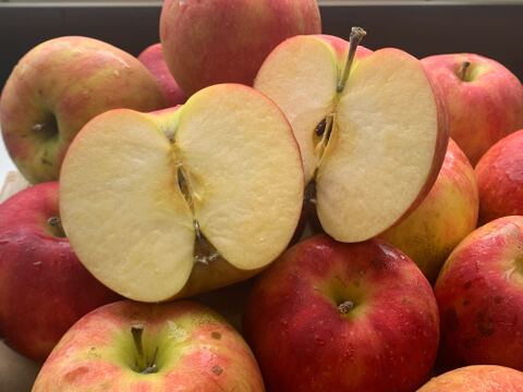 ジュース用・加工用りんご 10kg（24～56個） 特別貯蔵 スマートフレッシュ お得にたっぷり使える！