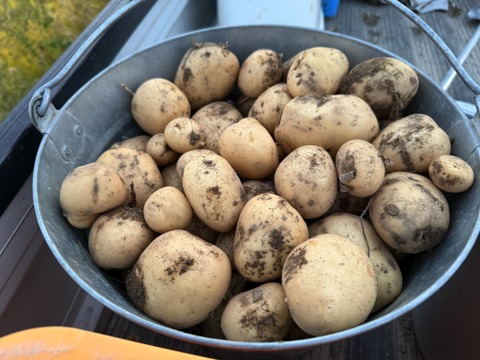 絶品！とくうま秋冬野菜５〜７品セット＜３月発送分＞