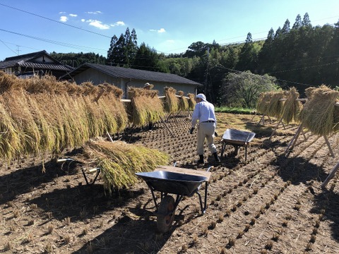 令和7年菊池米食味コンクール第3位受賞　農薬・化学肥料成分を気にしなくてよい、「菊池掛け干し清流米」玄米　５ｋｇ