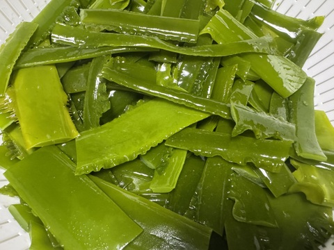 天然わかめの茎　1k 佃煮におすすめ　冷凍