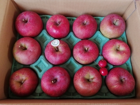 【国光】今や幻！？昔ながらの懐かしい味わい！【家庭用規格2.5kg】