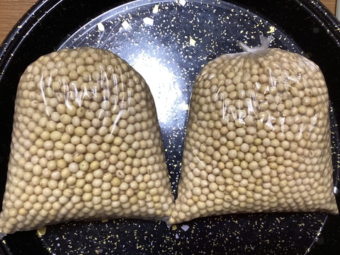 【自然栽培】新大豆(大粒)