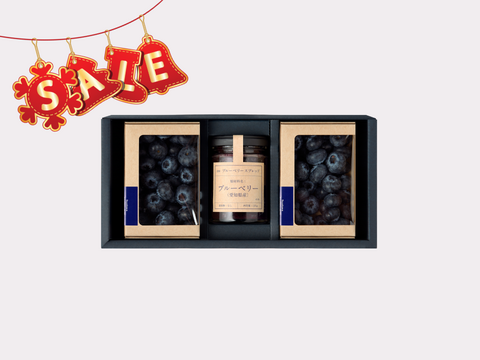 ☆セール中☆【冬の国産生ブルーベリー】100g×2pc、ブルーベリースプレッド 120g×1個〈トヨヒルセット【A】〉
